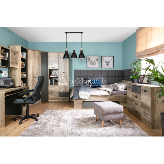 TV spintelė MALCOLM RTV2S TV spintelė MALCOLM RTV2S