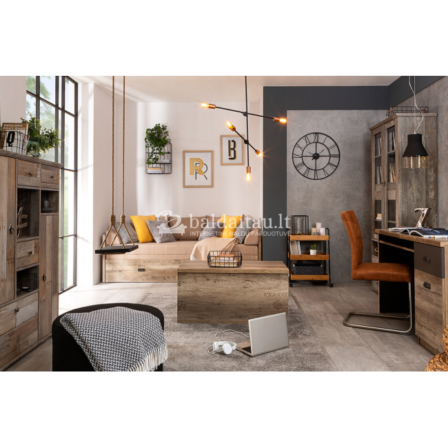 TV spintelė MALCOLM RTV2S TV spintelė MALCOLM RTV2S
