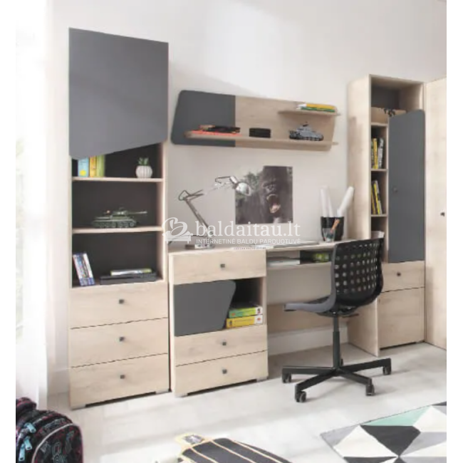 Rašomasis stalas DELTA DL9 Rašomasis stalas DELTA DL9