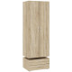 Spinta BASIC 2D ąžuolas sonoma Spinta BASIC 2D ąžuolas sonoma