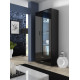 Vitrina SOHO S6 2D2S juoda